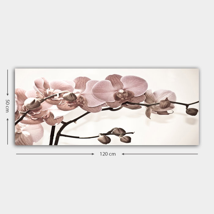 Wallity Lienzo Decorativo Multicolor 50 x 120 cm Wallity Lienzo Decorativo Multicolor 50 x 120 cm